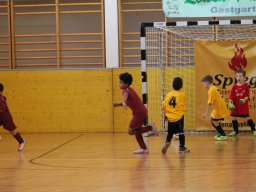 mini-IMG_6936